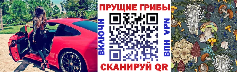 Купить где  Бикин  Галлюциногенные грибы GOLDEN TEACHER 